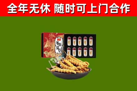 东风回收冬虫夏草价格