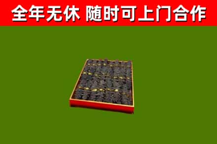 东风回收海参